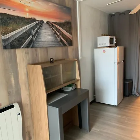 Апартаменти Studio 200m Plage Mole Petite Vue Mer Агд